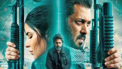 जाणून घ्या टायगर ३ चे बॉक्स ऑफिस कलेक्शन