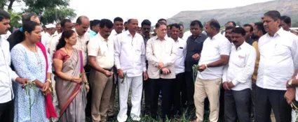 शेतकऱ्यांना नुकसान भरपाई देण्यासाठी मंत्रिमंडळात प्रस्ताव मांडू :सहकारमंत्री दिलीप वळसे पाटील