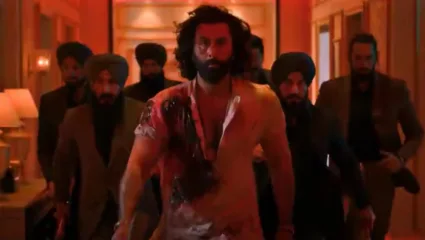 अ‍ॅनिमलचं बॅाक्स ऑफिस कलेक्शन झालं कमी, सतराव्या दिवशी कमावले 15 कोटी; तर जगभरातील कमाईनं गाठला 500 कोटींचा पल्ला!