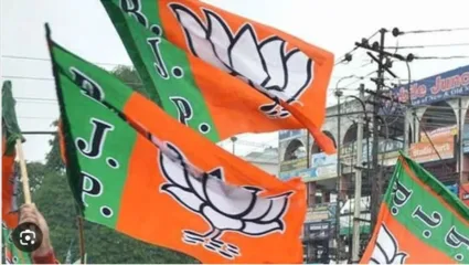 राज्यसभा निवडणुकीसाठी भाजपकडून उमेदवारांची यादी जाहीर; 28 पैकी 24 नवीन चेहऱ्यांना संधी