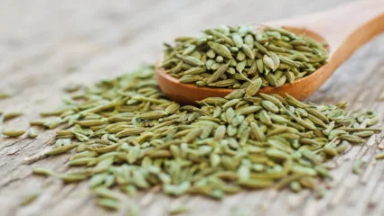 बडीशेप खाल्ल्याने डोळ्याची दृष्टी वाढते का? जाणून बडीशेपचे फायदे