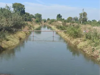 डिंभे धरणातून पाणी सोडल्याने ४५ गावांना फायदा ; आंबेगाव, शिरूर तालुक्यातील शेतकऱ्यांमध्ये समाधान