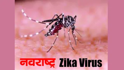 ‘झिका’चा तूर्त धोका नाहीच ! शहरातील 23 गर्भवतींचे रिपोर्ट निगेटिव्ह; मनपाच्या आरोग्य विभागाला दिलासा