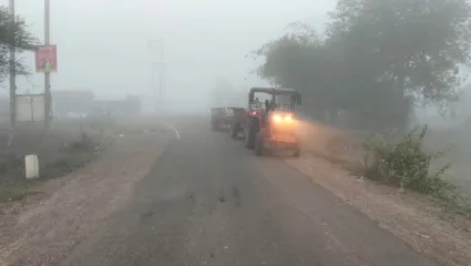आंबेगांव तालुक्यातील धुके पिकांच्या मुळावर; बदलत्या हवामानाचा शेतकऱ्यांना फटका
