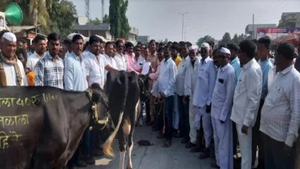 दुध दर वाढीसाठी सर्वपक्षीय रस्तारोको, शेतकरी जनावरांसह रस्त्यावर