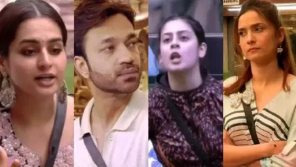 बिग बॉस 17 च्या 14 व्या आठवड्यात ग्रँड फिनालेच्या आधी आयेशा खानला केले घराबाहेर