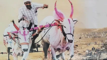 पुसेगाव यात्रेत उडणार मानाच्या पहिल्या हिंदकेसरी बैलगाड्यांच्या जंगी शर्यतीचा धुरळा