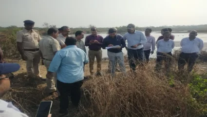 नवी मुंबईचा फ्लेमिंगो सिटीचा दर्जा धोक्यात