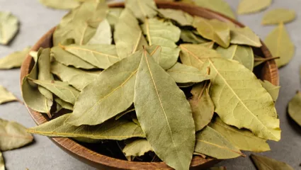 तमालपत्र पाण्यात उकळवा आणि सकाळी प्या, तुम्हाला होतील अनेक आरोग्यदायी फायदे