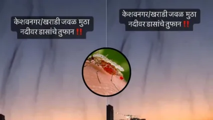 अबब ! मुठा नदीवर घोंगावतोय डासांचा लोंढा; व्हिडिओ पाहून पुणेकर धास्तावले