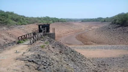 कोट्यावधी रुपयांच्या पाझर तलावात गाळाचे साम्राज्य, ना शेतीसाठी पाणी ना पिण्यासाठी!
