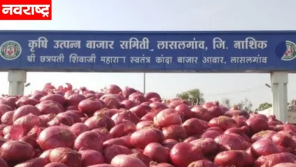 लासलगाव बाजार समितीत कांद्याच्या बाजारभावात 400 रुपयांची घसरण; कांदा उत्पादक शेतकऱ्यांमध्ये संतापाची लाट