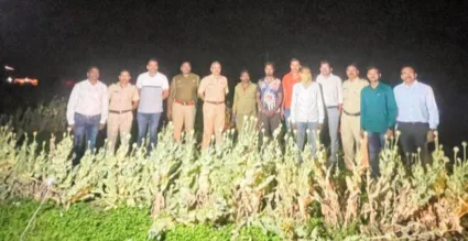 दौंड तालुक्यातील ‘या’ गावात अफूची शेती करणाऱ्याला अटक; यवत पोलीसांनी केली कारवाई