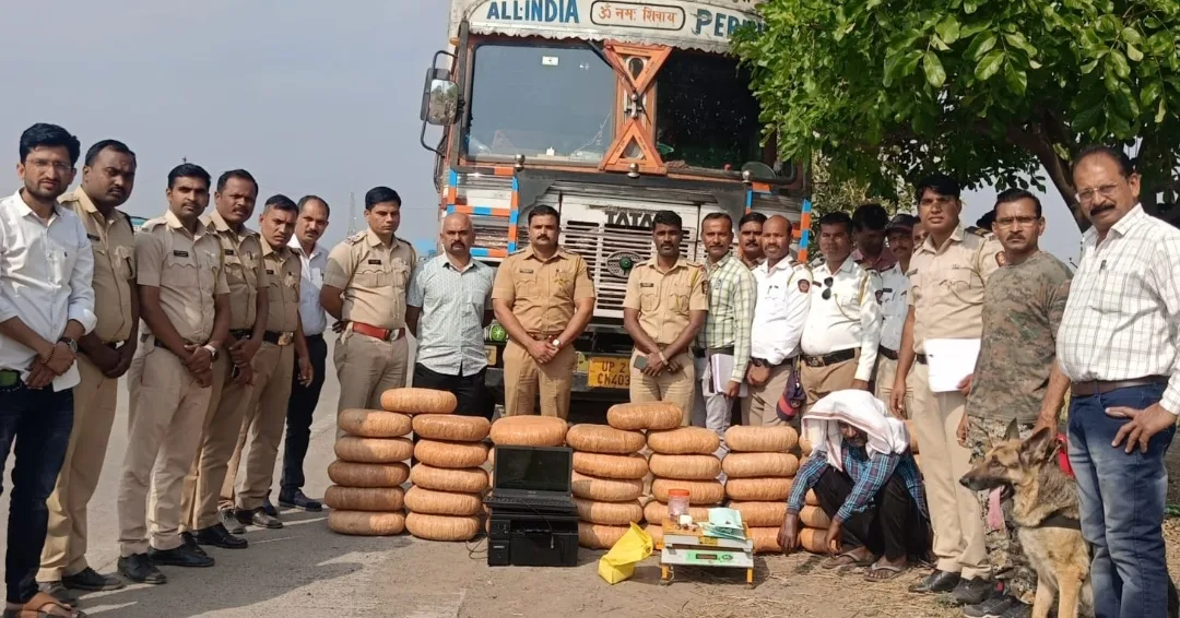 A Major Operation By Chikhli Police Ganja Worth 31 Lakh Seized Near Bhankhed On Jalna Road Nrdm