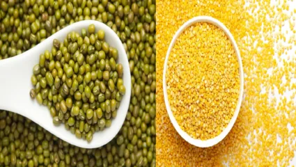 मुगाच्या डाळीत किती प्रोटीन असते? जाणून घ्या सविस्तर