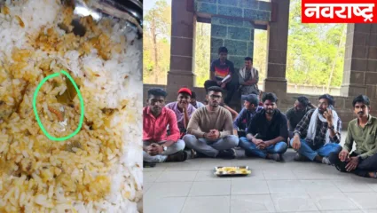 हे चाललयं तरी काय? सावित्रीबाई फुले पुणे विद्यापीठातील जेवणात पुन्हा सापडली अळी