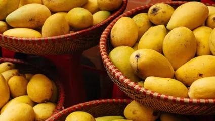 कोकणातील हापूस आंब्याच्या नावाखाली कर्नाटकी आंब्याची विक्री, ग्राहकांची केली फसवणूक