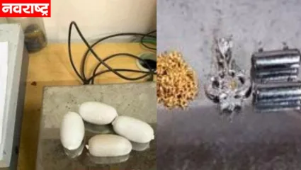 मुंबई आंतरराष्ट्रीय विमानतळावरून 4.81 कोटी रुपयांचे सोने ताब्यात; मुंबई कस्टम विभागाची मोठी कारवाई; वाचा सविस्तर