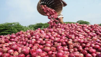 भारताने 45 हजार टनांहून अधिक केली कांदा निर्यात; निर्यातबंदी उठताच दिसला परिणाम