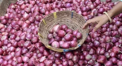 लोकसभेत भाजपला बहुमत नाहीच; कांद्यामुळे पुन्हा झाला भाजपचा वांदा