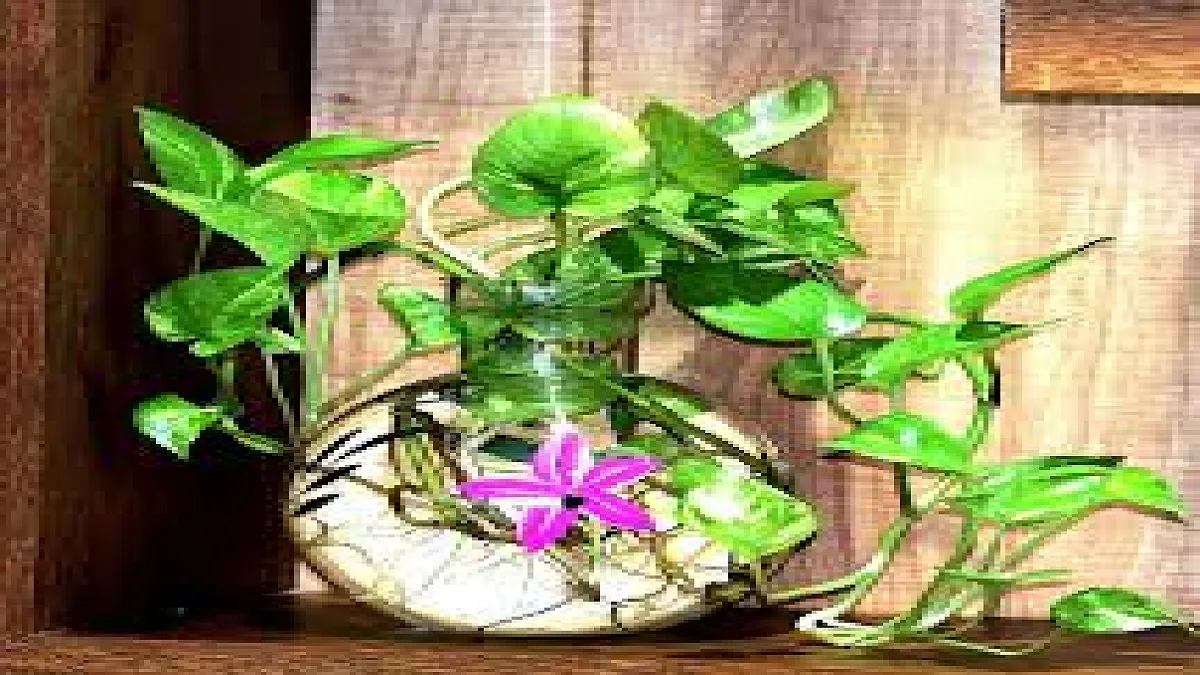 Give These 4 Old Household Items A New Look And Guests Wont Tire Of Admiring Them