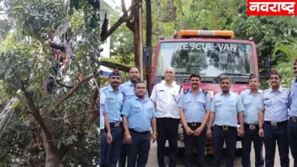 पुण्यात आंब्याच्या झाडावर चढलेला इसम बेशुध्द; अग्निशमन दलाकडून प्रयत्नांनी सुटका