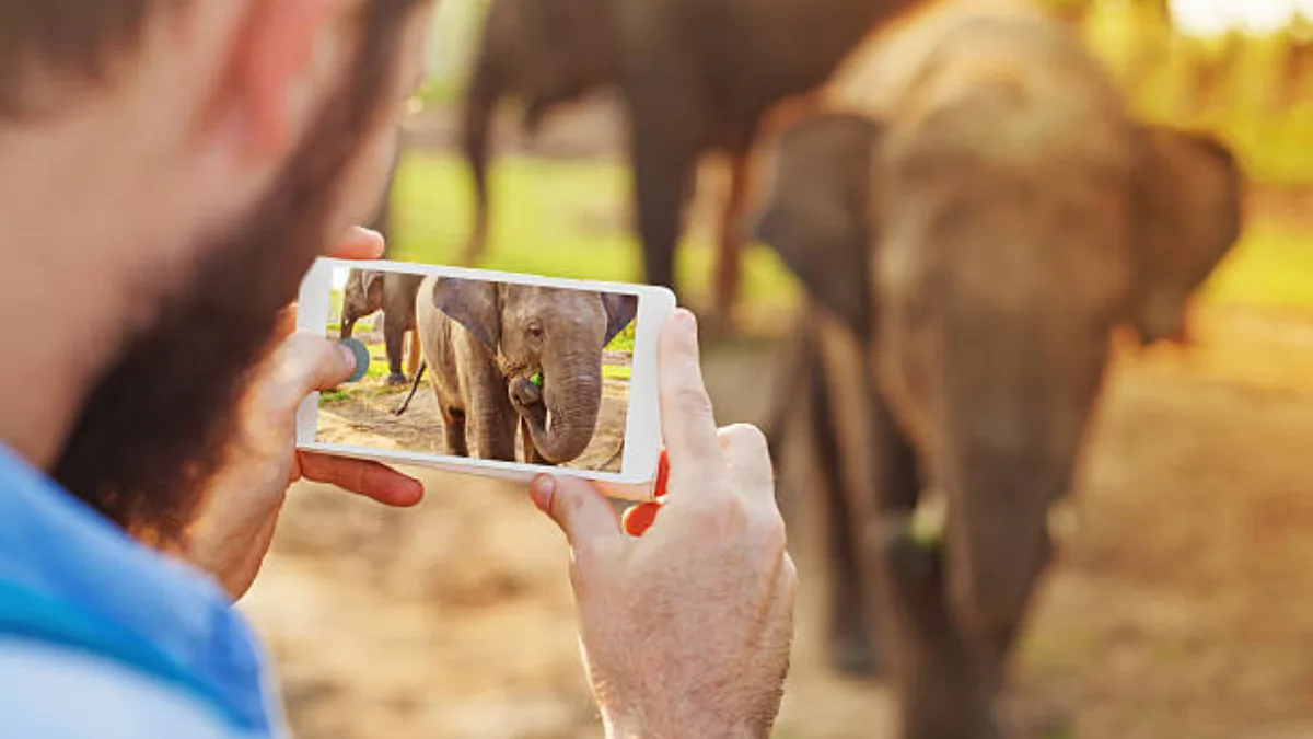 स्मार्टफोनच्या कॅमेऱ्याची कॉलिटी खराब झालीये? मग या टिप्स फॉलो करून पहा