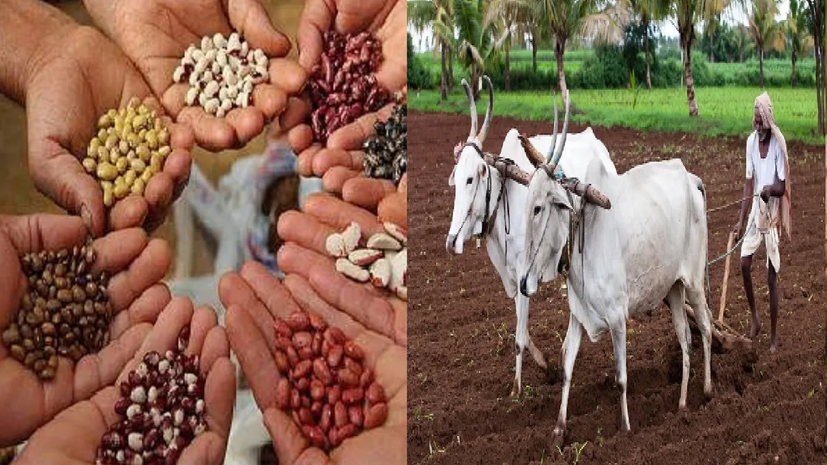तेलंगणा-आंध्रकडे बियाणे खरेदीसाठी शेतकर्‍यांचा वाढता कल; स्थानिक कृषी सेवा केंद्रांवरील विश्वासाला तडा?