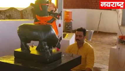 अमोल कोल्हे यांची सप्तधेनु गोमातेसमोर उपासना; शिरुरचा गड कायम राखण्याची शक्यता