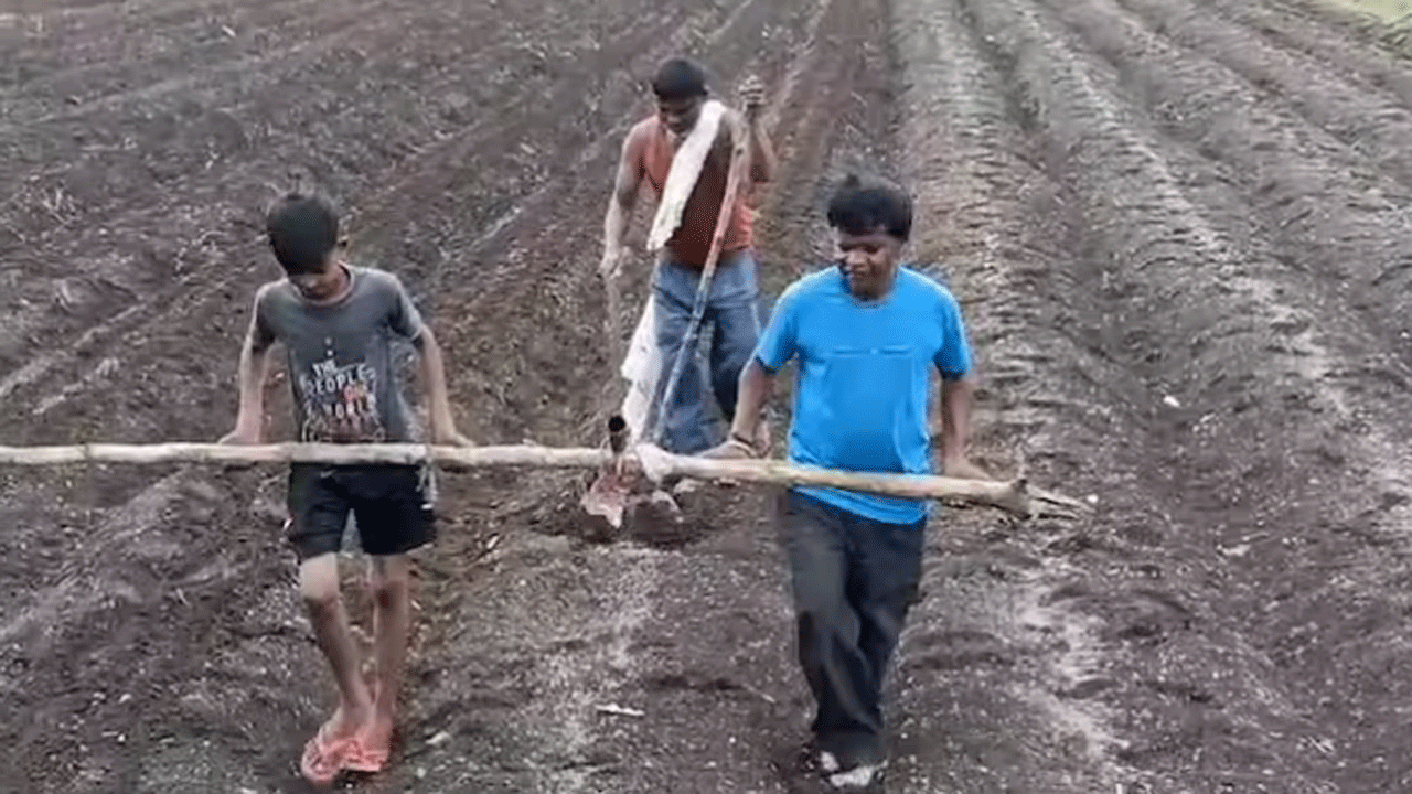 Farmer Of Hingoli Faces Difficulties In Farming Nrka