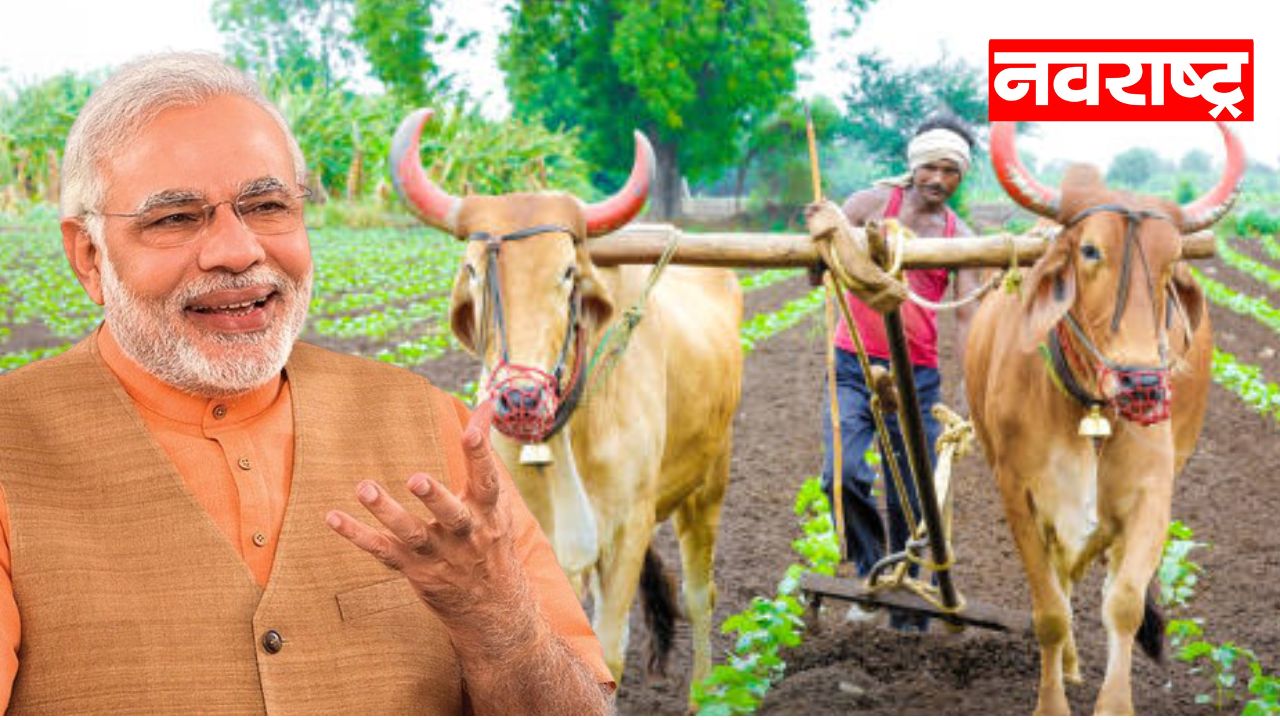 आज मोदी सरकार खरिप पिकांचे हमीभाव जाहीर करणार; ‘या’ पिकांचे वाढणार भाव!