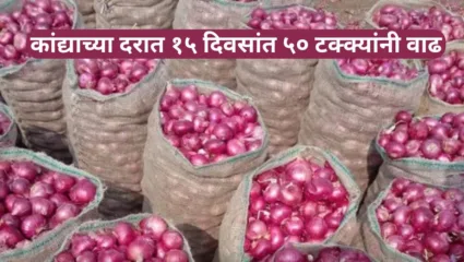 कांद्याच्या दरात १५ दिवसांत 50 टक्क्यांनी वाढ; ईदमुळे वाढली मागणी!