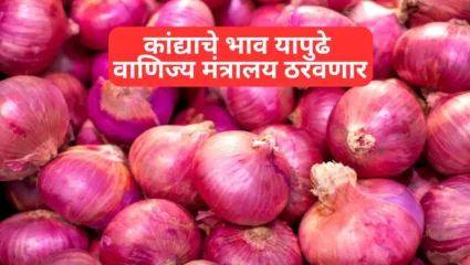 कांद्याचे भाव यापुढे वाणिज्य मंत्रालय ठरवणार; नाफेड, एनसीसीएफचे अधिकार गोठवले!