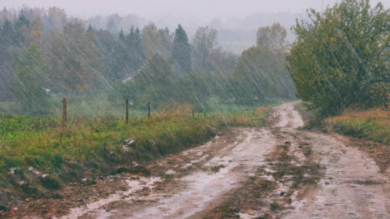 Rain With Lightning In Yavatmal Power Supply Interrupted In Many Areas