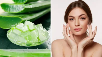 उन्हाळ्यात हवी असेल तरुण आणि चमकदार त्वचा, तर ‘अशा’ पद्धतीने करा कोरफड जेलचा वापर