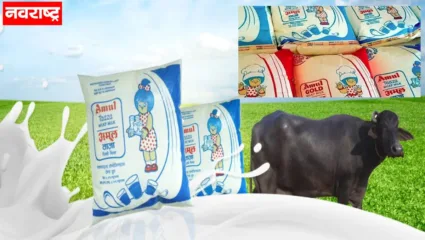 सर्वसामान्यांना दरवाढीचा झटका, टोलनंतर आता अमूलचे दूध महागले, प्रतिलीटर ‘इतक्या’ रुपयांनी वाढ