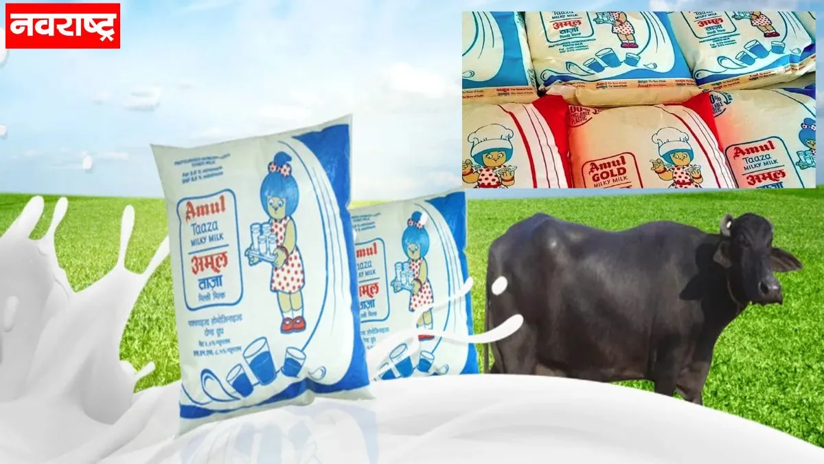 सर्वसामान्यांना दरवाढीचा झटका, टोलनंतर आता अमूलचे दूध महागले, प्रतिलीटर ‘इतक्या’ रुपयांनी वाढ