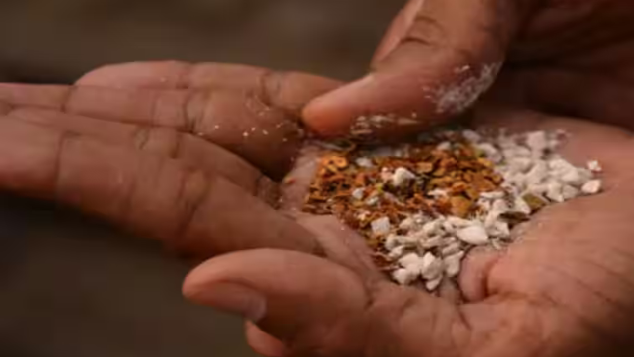 गुटखा/ पान मसाला - शरीरासाठी घातक असलेला गुटखा/ पान मसाल्याला परदेशात नो एन्ट्री आहे 
