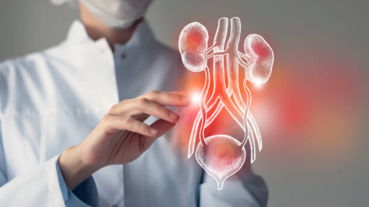 किडनी कॅन्सरमधील धोके (फोटो सौजन्य - iStock)