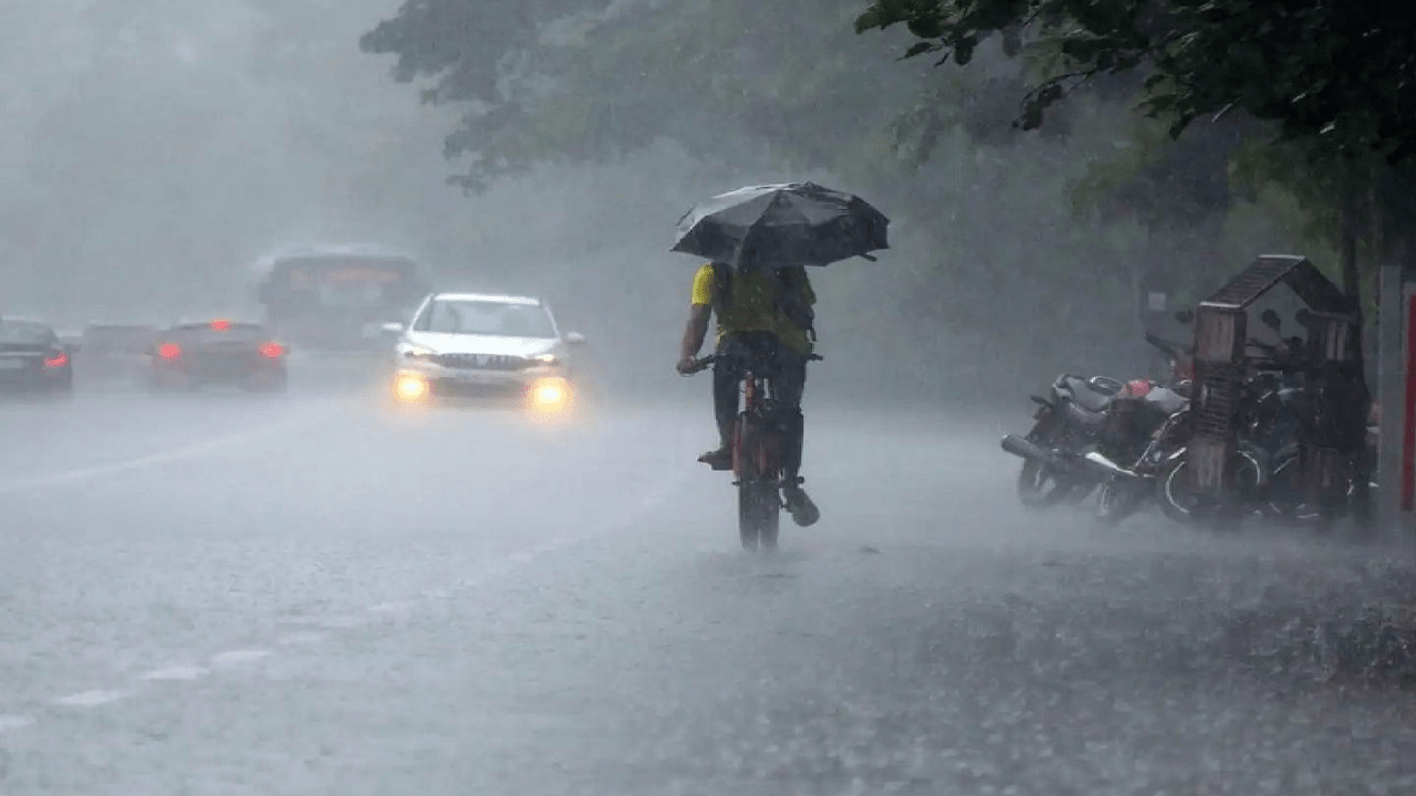 After Three Days Of Rain In Yavatmal The Farmer Was Happy