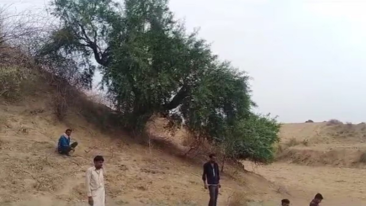 चेहऱ्यावर चावल्याच्या खुणा, उलटा पायजमा…! झाडाला लटकलेल्या अवस्थेत होता अल्पवयीन मुलीचा मृतदेह झाडाला लटकलेल्या अवस्थेत आढळला अल्पवयीन मुलीचा मृतदेह (फोटो सौजन्य- सोशल मिडीया)