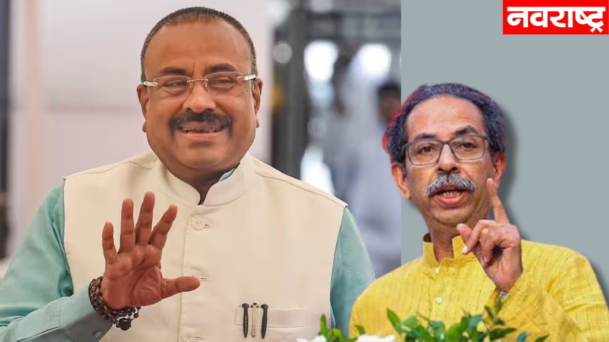 ‘उद्धव ठाकरे वृक्ष नाही तर फांदी’; सुधीर मुनगंटीवारांनी ठाकरे गटाला डिवचलं
