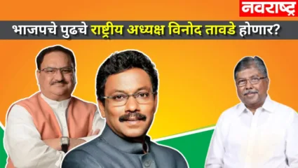 विनोद तावडेंची भाजपमध्ये ‘पॉवर’ वाढणार; चंद्रकांत पाटील यांचे महत्त्वपूर्ण विधान