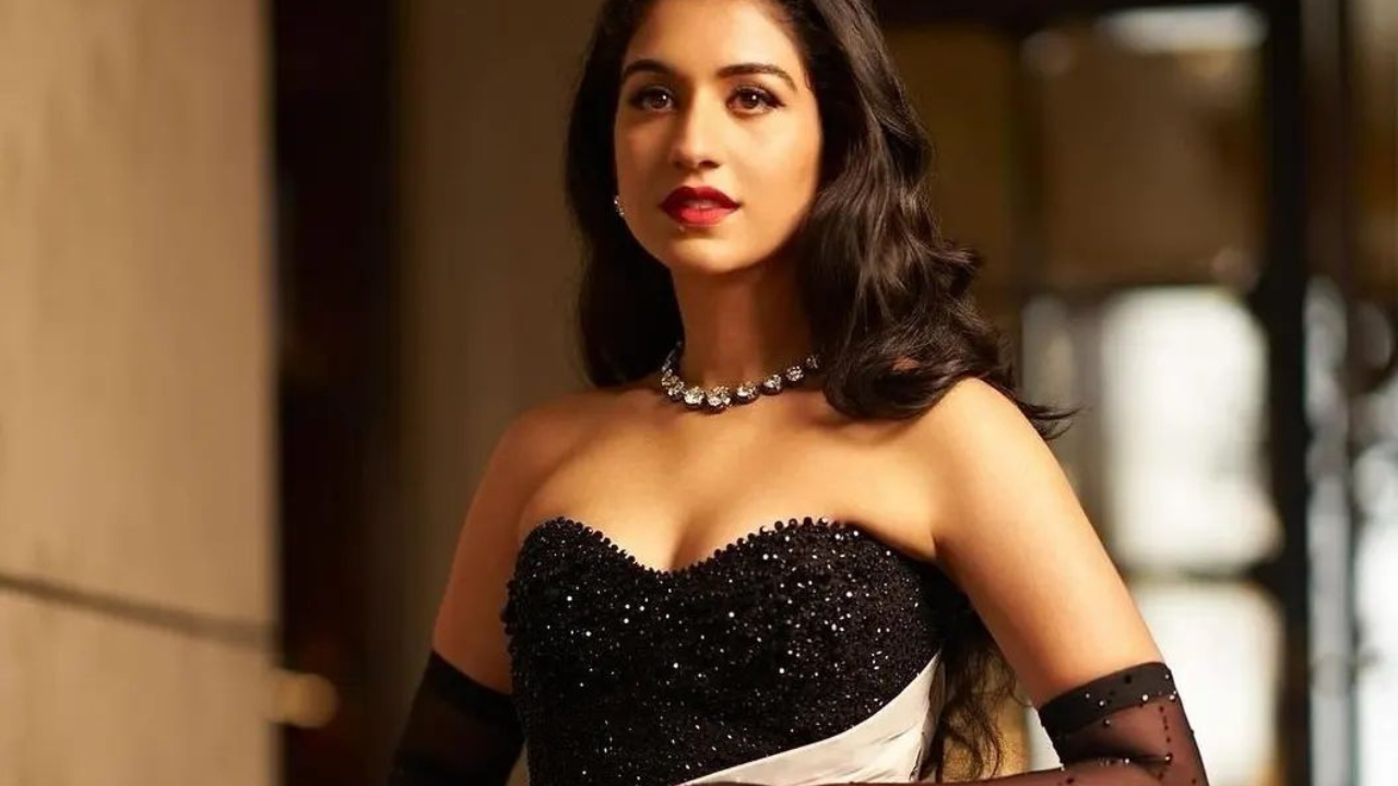 साडीचे वैशिष्ट्य (फोटो सौजन्य - इन्स्टाग्राम)