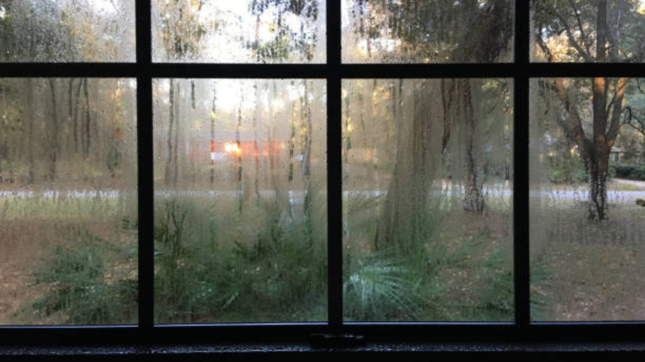 सर्वचजण उष्णतेपासून वाचण्यासाठी पावसाची वाट बघतात. पण जव्हा खरंच पाऊस येतो तेव्हा रस्त्यावरचं चिखल आणि घरातील आर्द्रतेमुळे लोकं हैराण होतात. पावसाळ्यात घरात, गाडीमध्ये, काचेवर सर्वत्र आर्द्रता पाहायला मिळते. त्यामुळेआर्द्रतेमुळे नागरिकांना अनेक समस्यांना सामोरे जावे लागत आहे. 