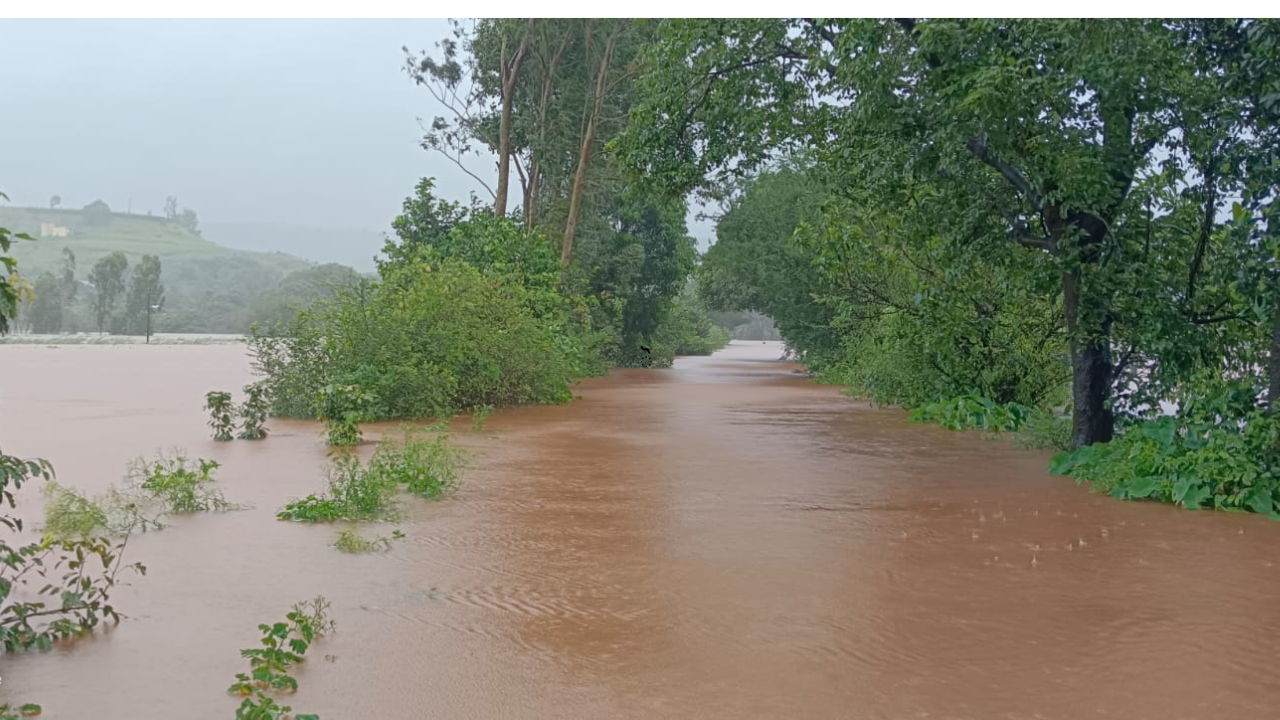 चांदोली धरणातून विसर्ग वाढला; परिसरातल्या गावांचा संपर्क तुटला, विद्युत पुरवठा खंडित