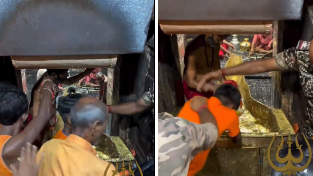 श्रावणात ज्योतिर्लिंगापुढे हात जोडणे देखील झालेय अवघड, भाविकांच्या अलोट गर्दीचा व्हिडिओ व्हायरल