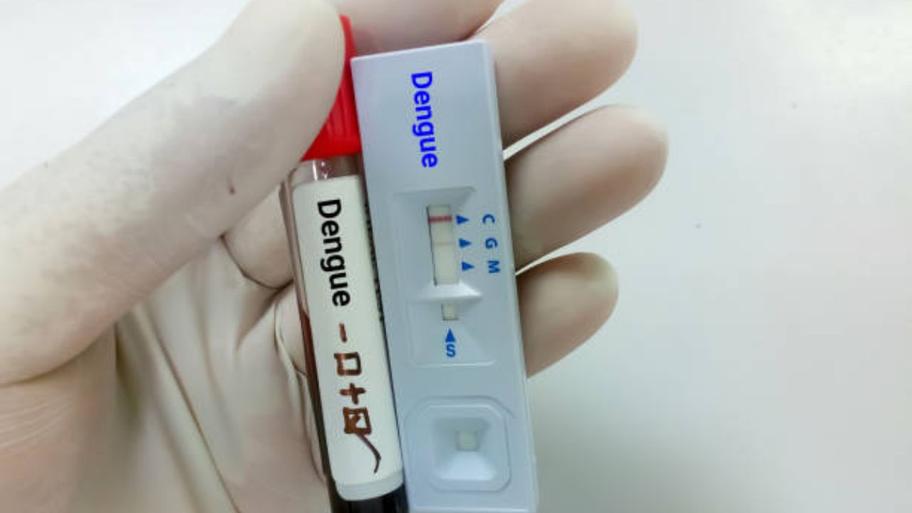 ऑक्टोबर महिन्यात डेंग्यू रुग्णसंख्येत घट; चिकुनगुनियाचा एकही रुग्ण नाही