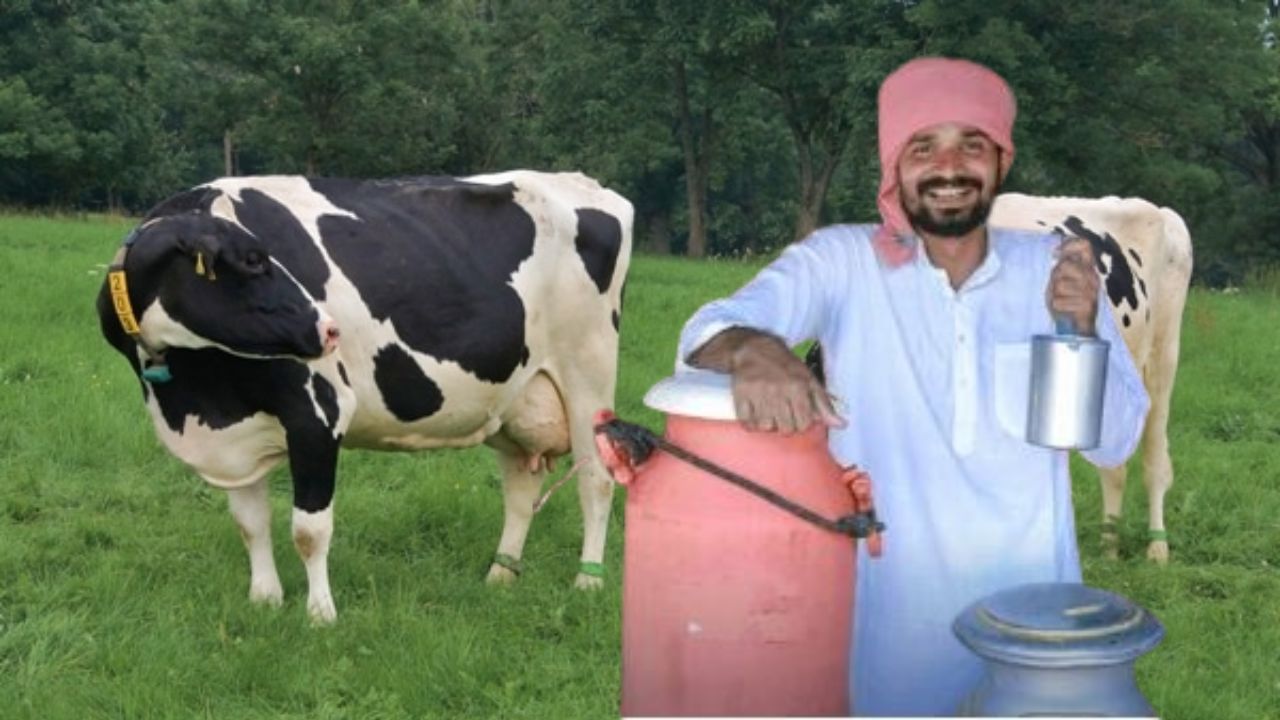 गाईच्या दूध दरात लिटरमागे 2 रुपयांनी वाढ; दूध संघांच्या बैठकीत महत्वाचा निर्णय!