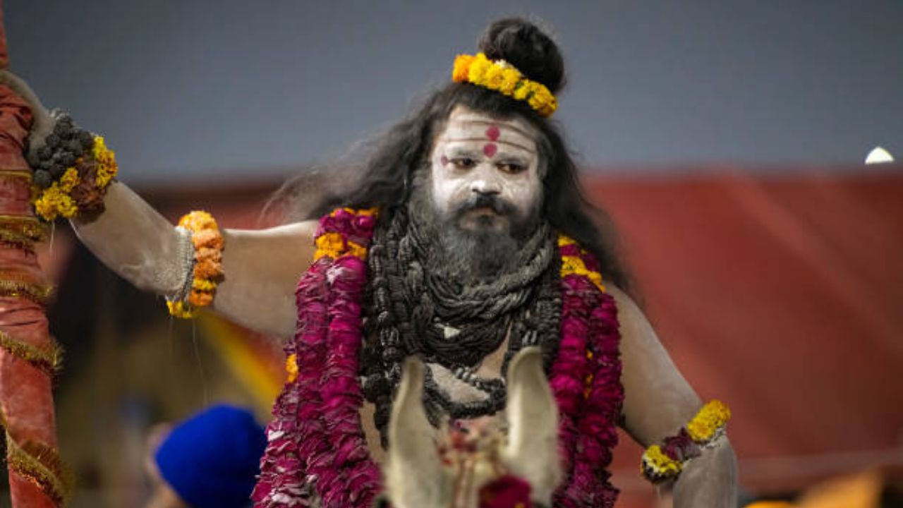 नागा साधू होणे सोपे नाही, त्यांना ‘या’ गोष्टी निषिद्ध, जाणून घ्या